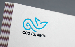 Сайт и логотип КИТ